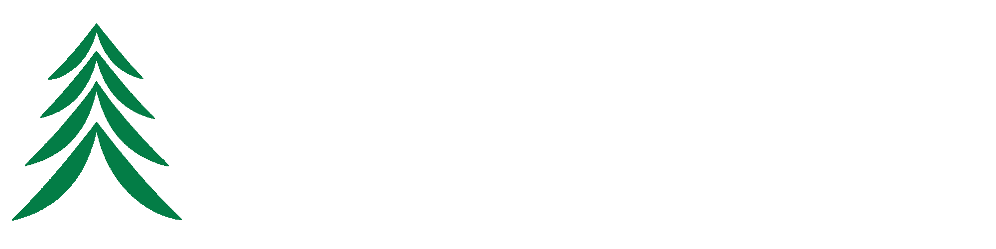 Zindia Forestry logo