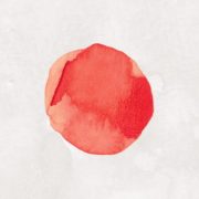 TATSUSHI logo