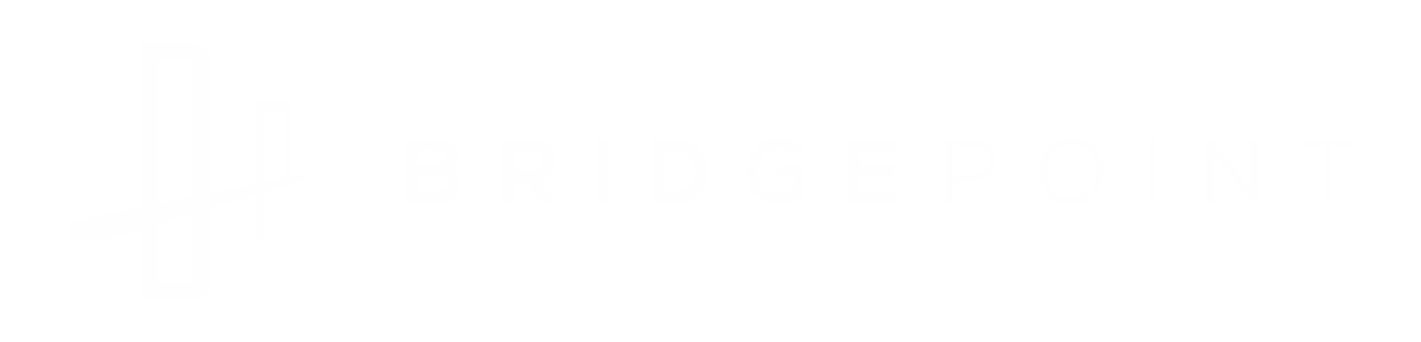 Bridge Point Limited logo