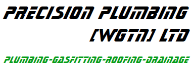 Precision Plumbing (wgtn) logo