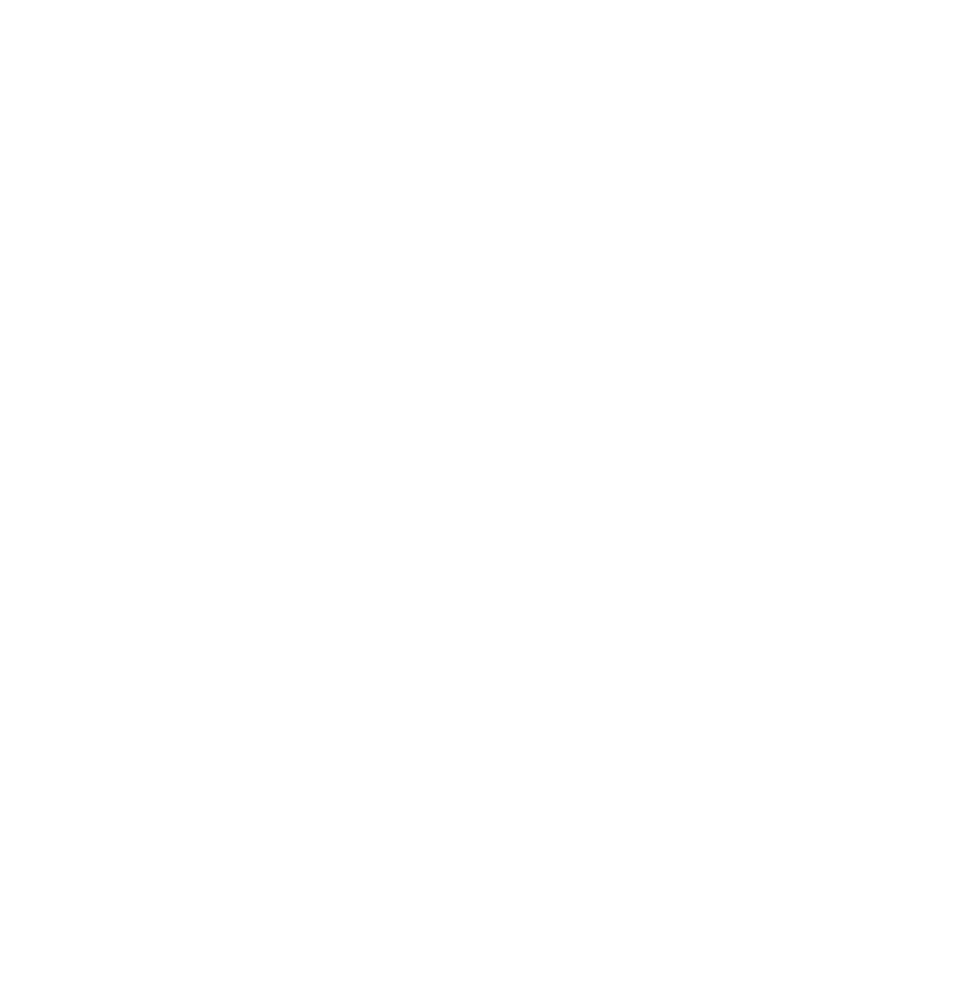 Liquid Electrical logo