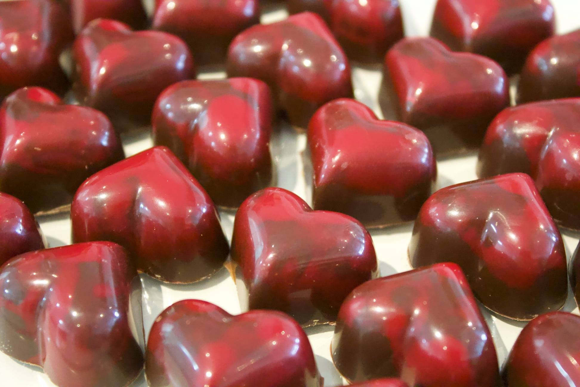 The Chocolate Story logo