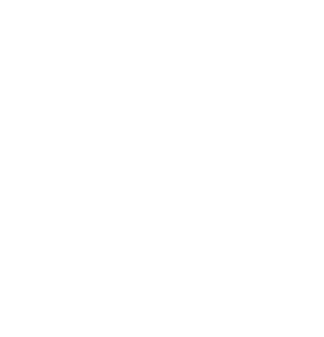 Form to Function logo