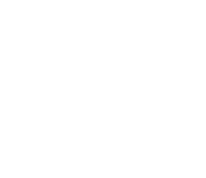 Controlworks (N Z) Limited logo