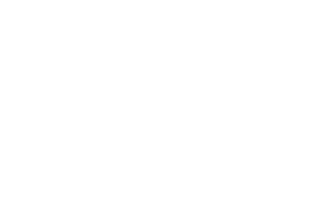 Thai Touch Limited logo