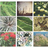 For the Love of Landscape Limited logo