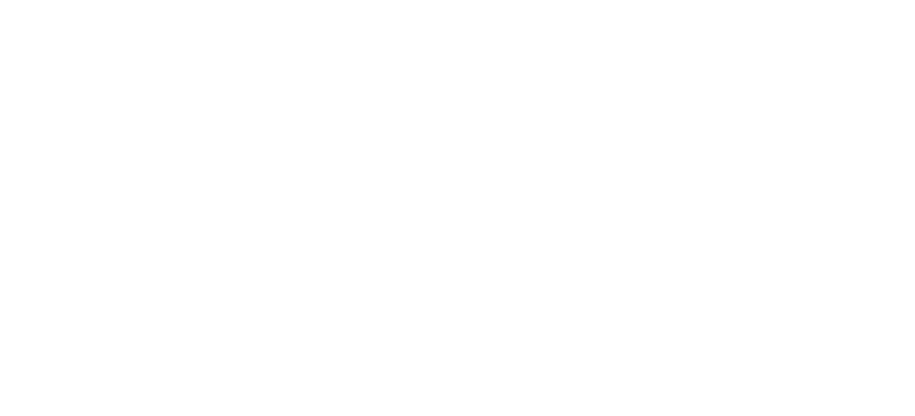 Nemesys Limited logo
