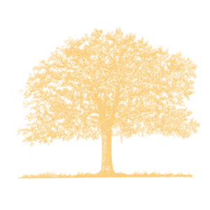 Major Oak Safety Training logo