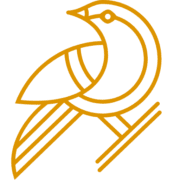 Kotata Developments Limited logo