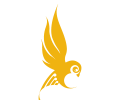 Planwise Limited logo