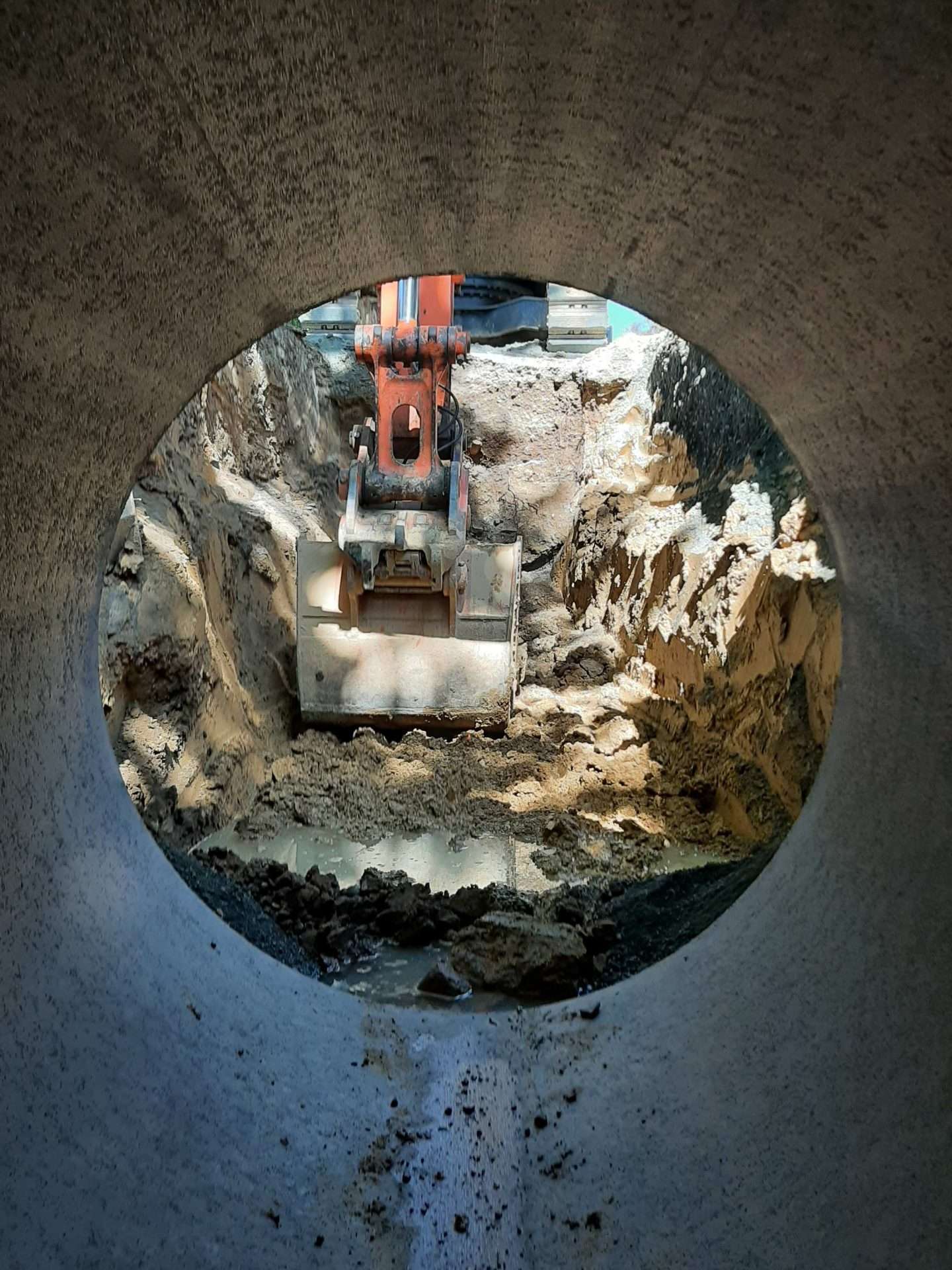 Tasman Civil logo