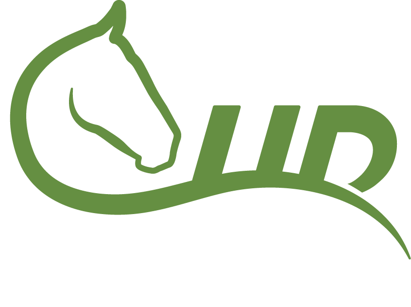Horse Business logo