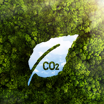 Co-Lab logo