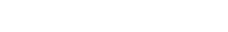 G E Security Systems logo