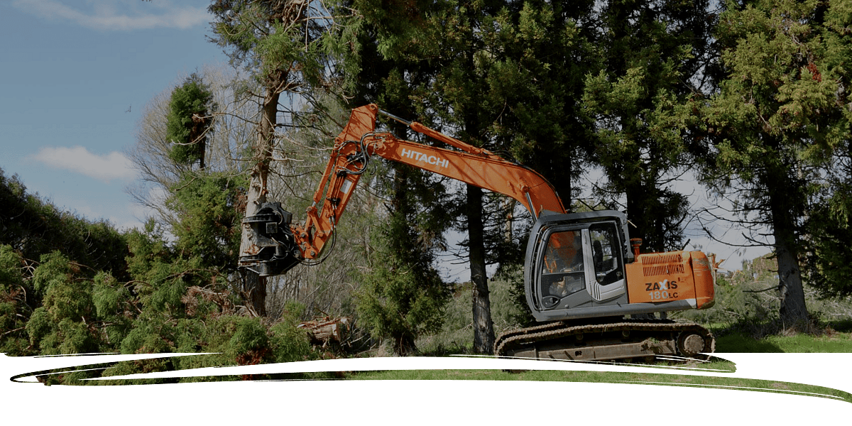 Tree Chipping Services Limited logo