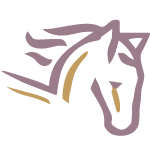 Stratus General Insurance logo
