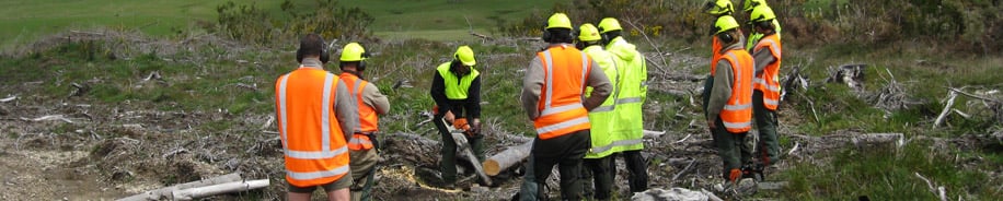 Forestry Training NZ logo