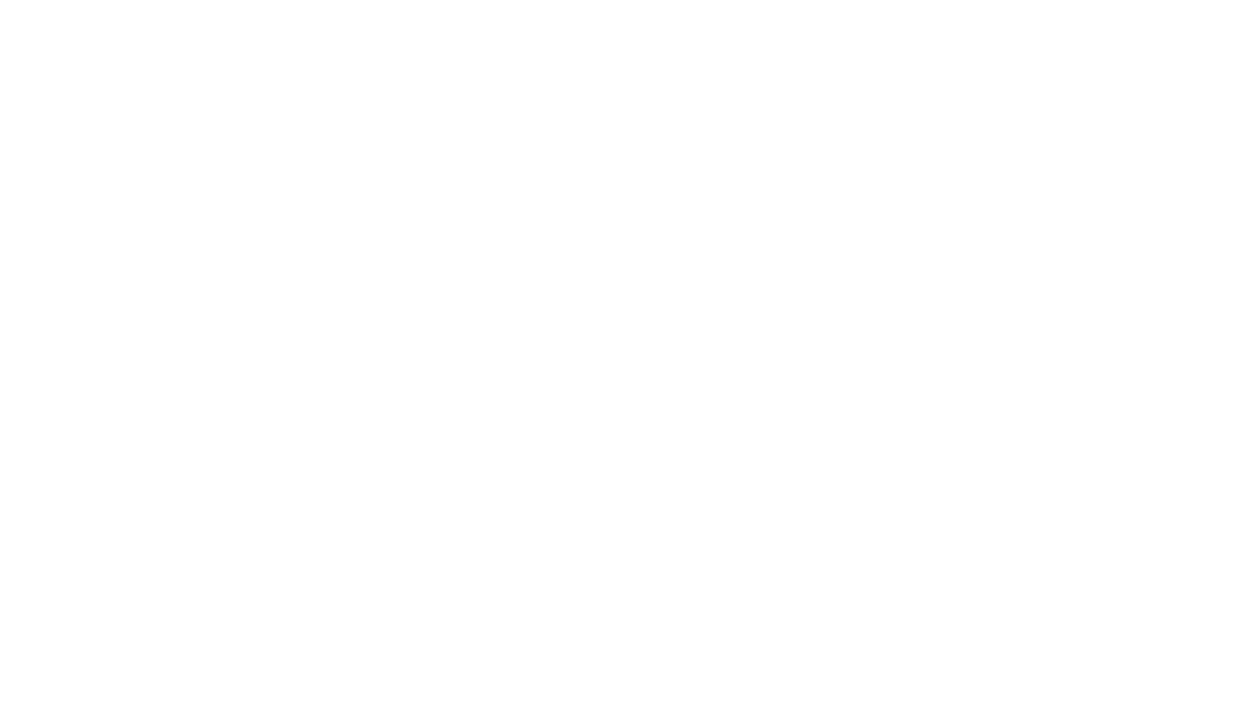 Petone Physiotherapy logo