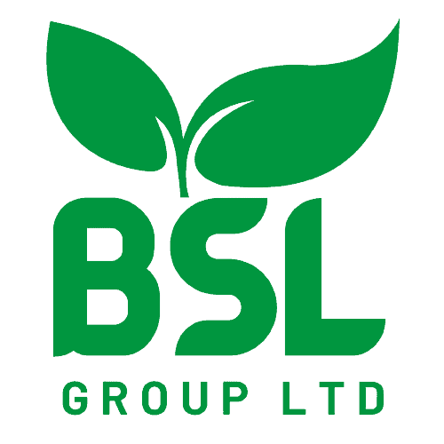 Bsl Group Limited logo