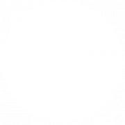 Professional Door Services logo