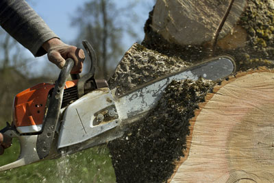 TOTAL TREE CARE LIMITED logo