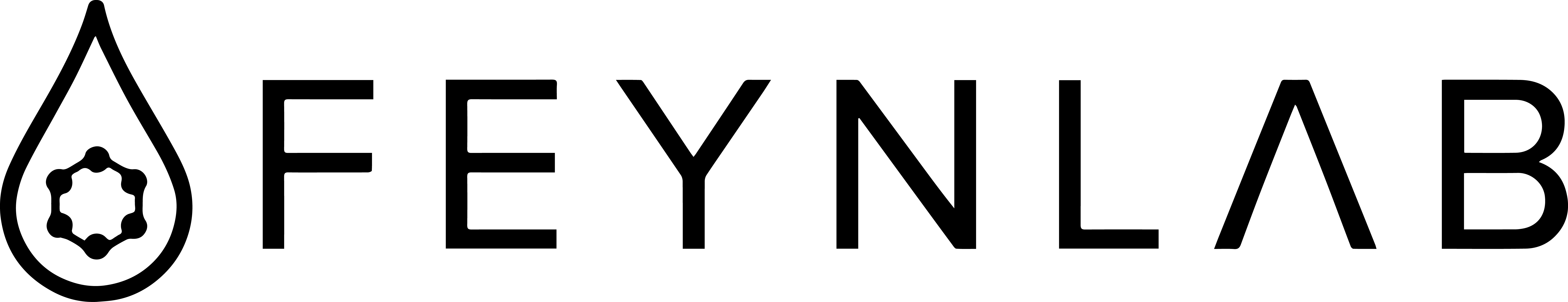 Feynlab NZ logo