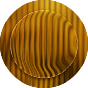 Newton Ross logo
