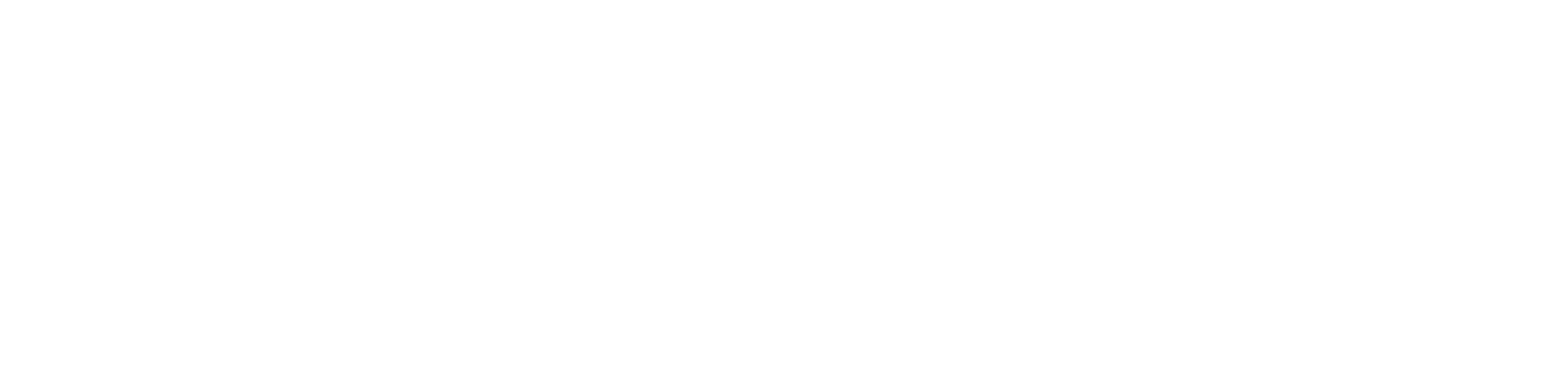 Maverick Studio logo