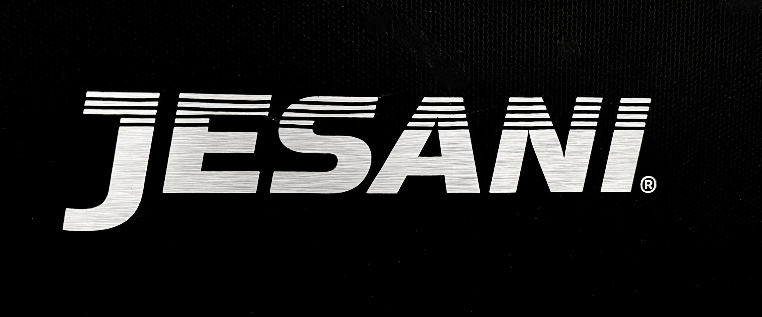 JESANI logo
