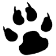 Cosy Pooch logo