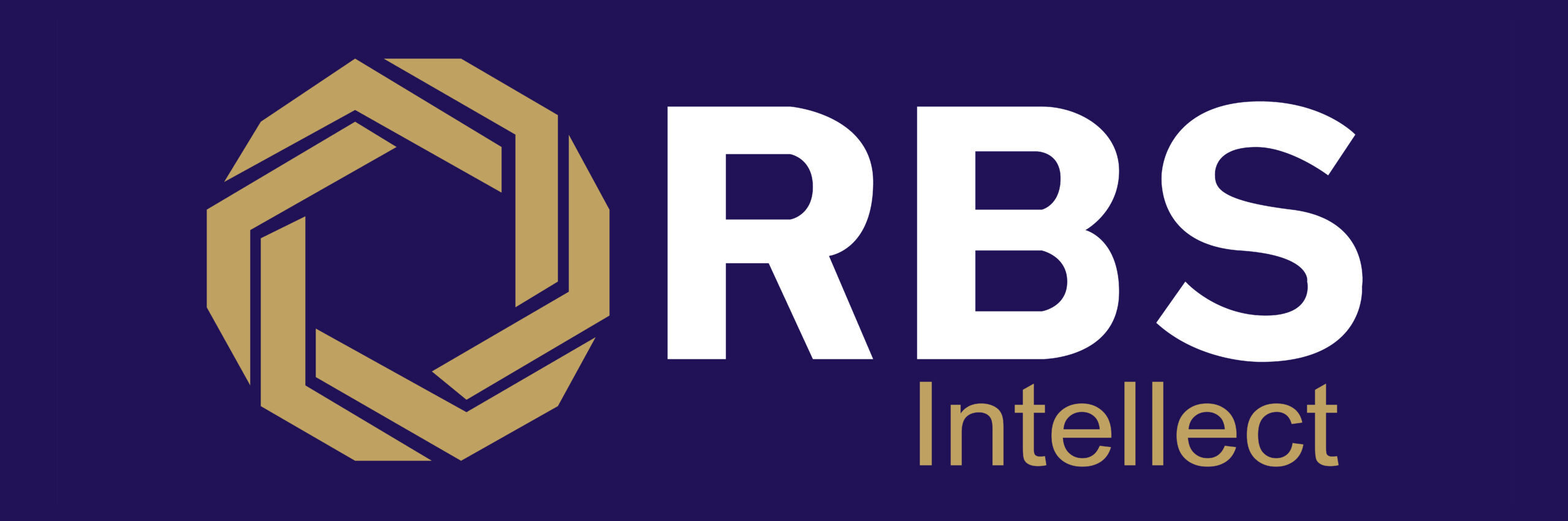RBS Intellect logo