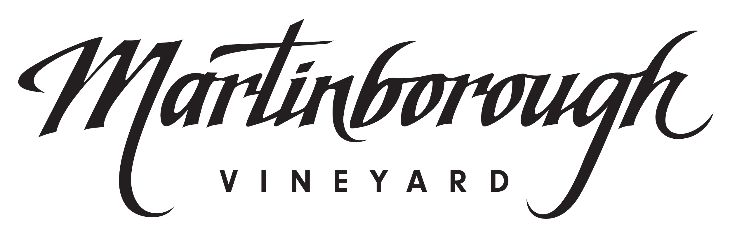Martinborough Vineyard Wines logo
