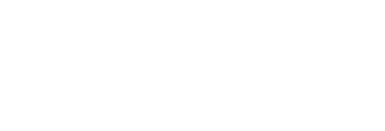 EXECUJET MRO SERVICES NEW ZEALAND LIMITED logo
