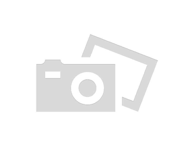 Gun City Hamilton logo