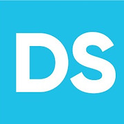D&S Consulting logo