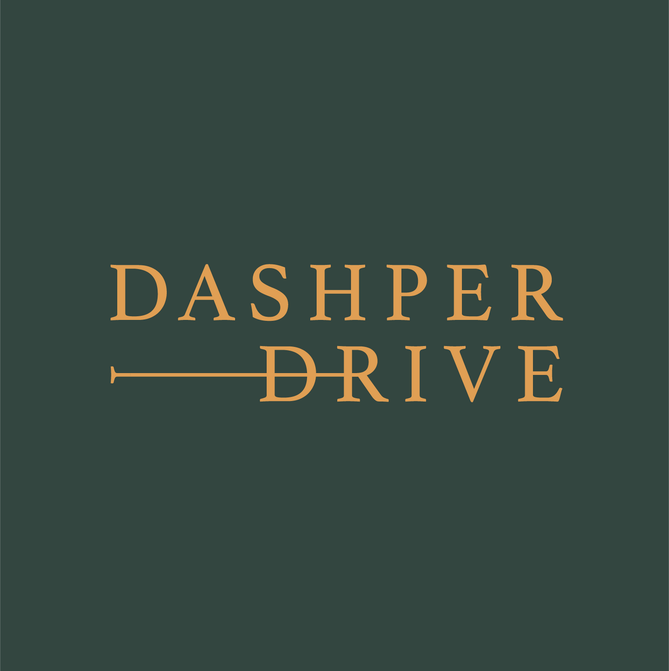 Dashper Family Trust Ltd logo