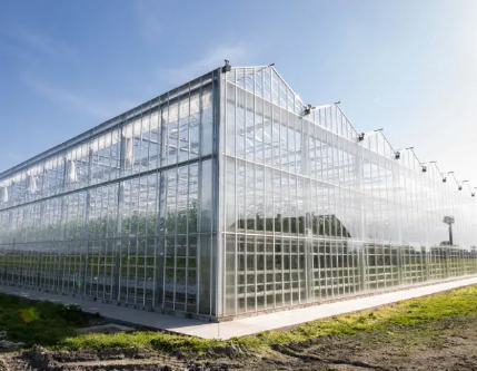 Apex Greenhouses (New Zealand) Limited logo