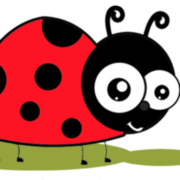 Secret Garden Elc Limited logo