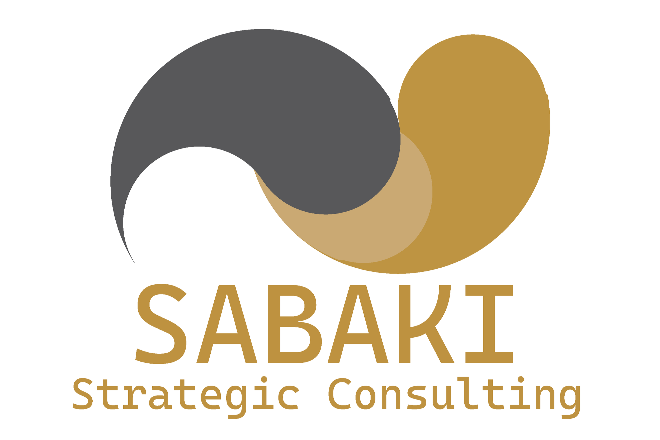 Sabaki Strategic Consulting Limited logo