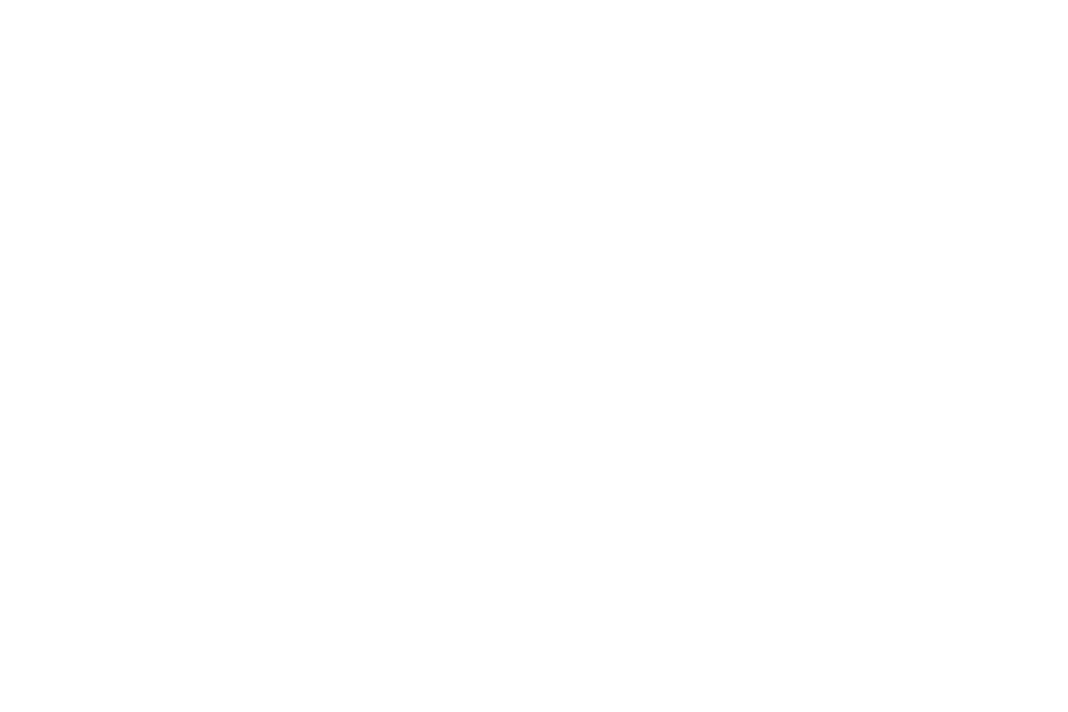 Nine Islands Media logo