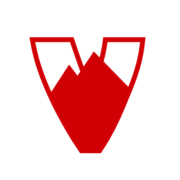 Velosolutions logo
