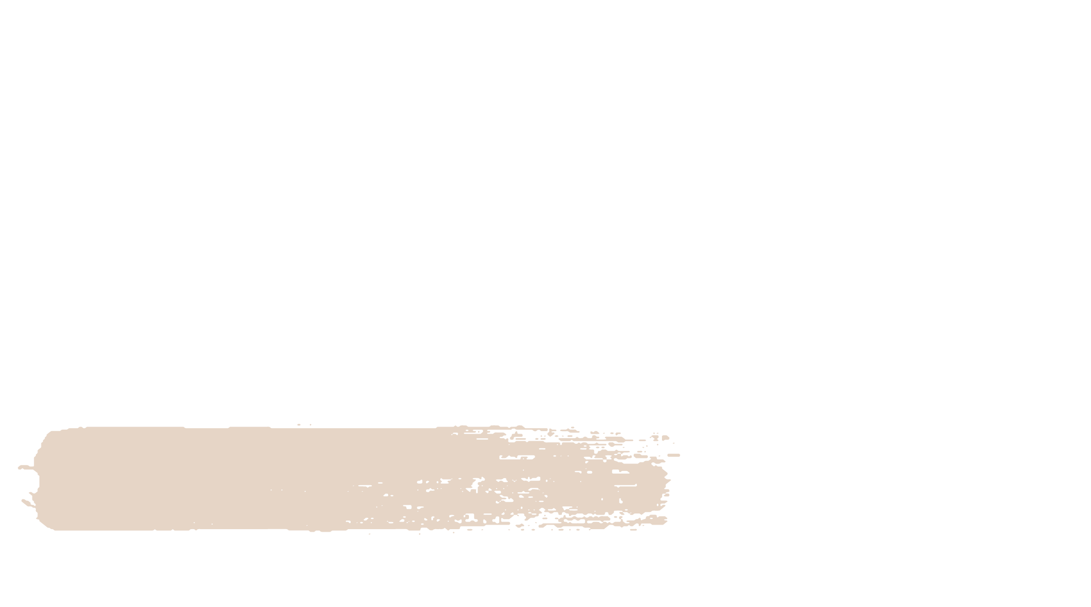 Brush Brothers Painters logo