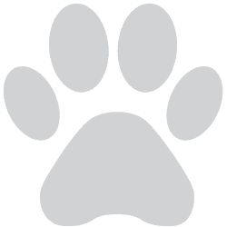 Neko Ngeru Cat Café logo