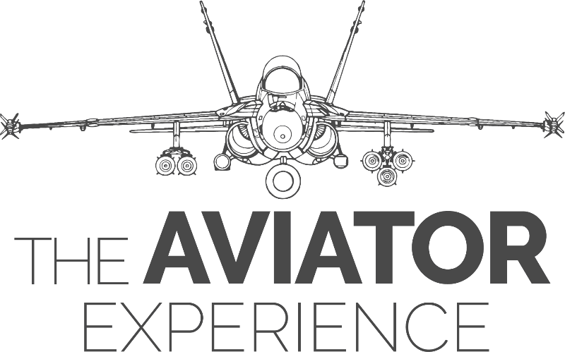 The Aviator Experience logo