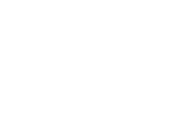 Studio Nash logo