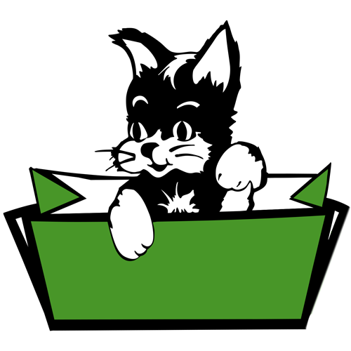 C A Transport logo