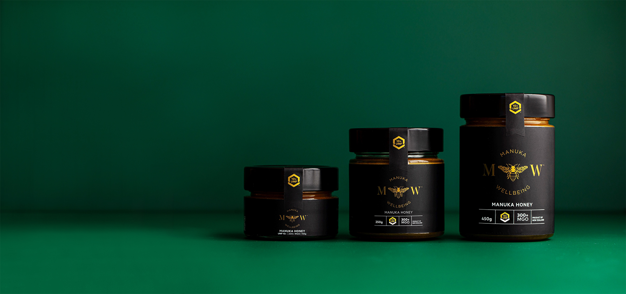 Monsoon Creative logo