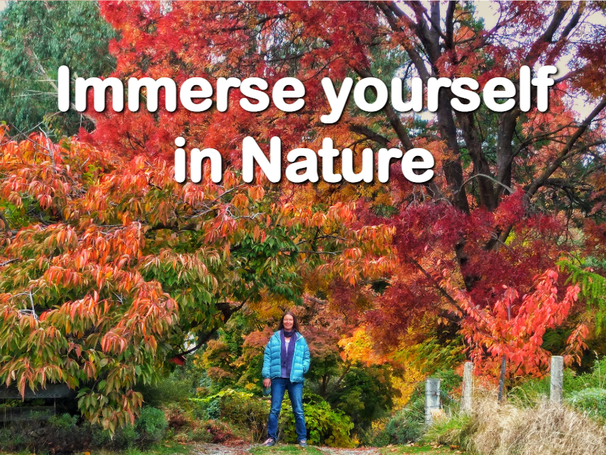 Beautiful Gardens of Wanaka logo