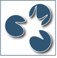 Oraco Solutions Limited logo