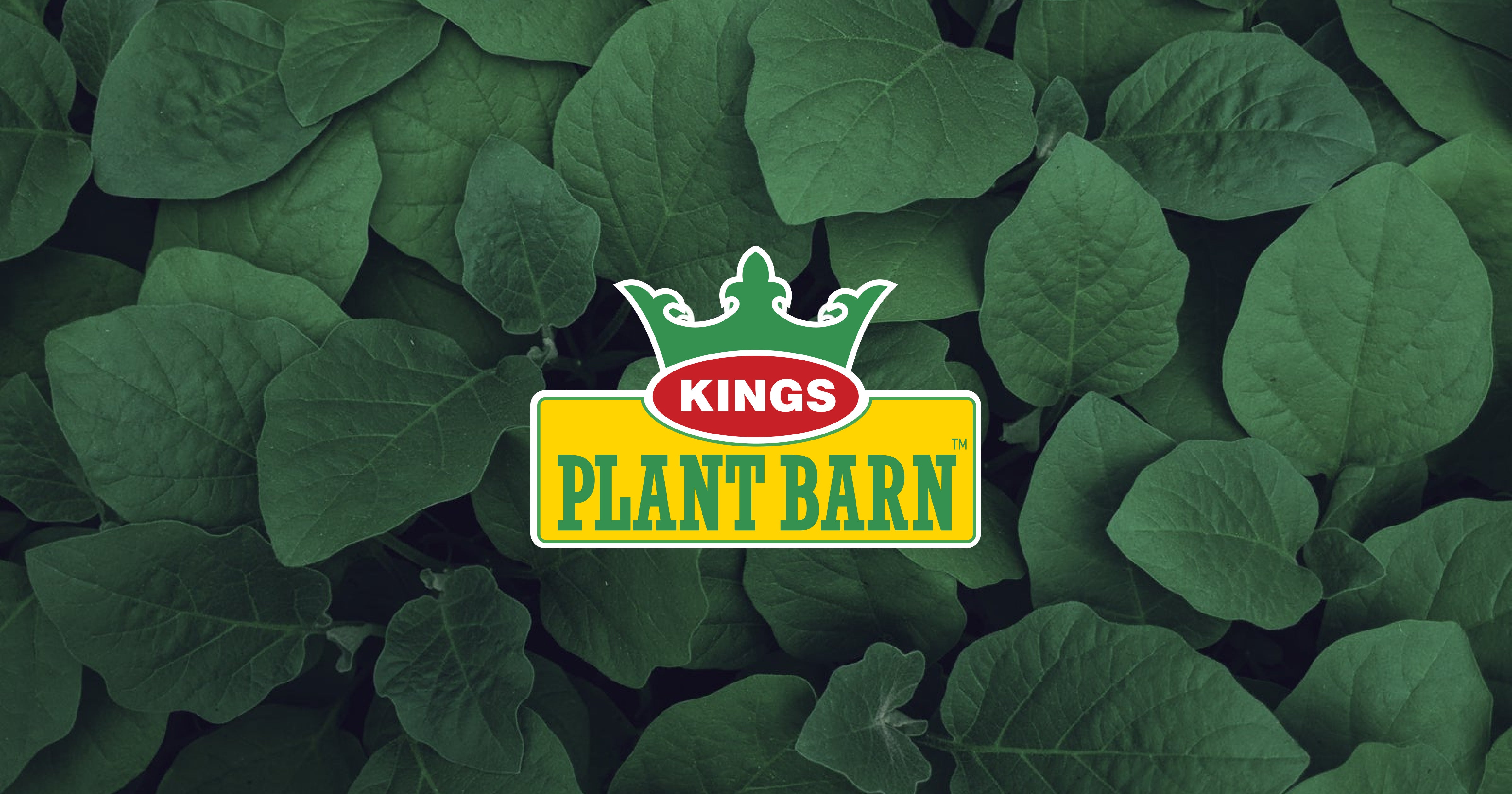 King's Plant Barn logo